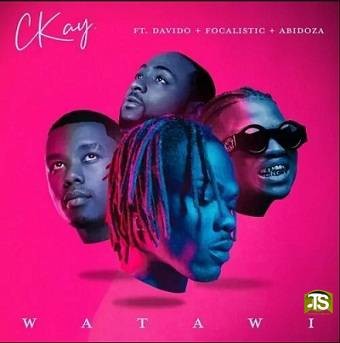 Ckay - Watawi ft Davido, Focalistic, Abidoza