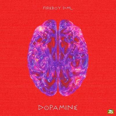 FireBoy DML